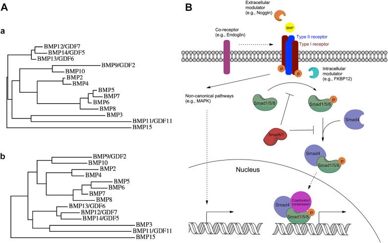 https://cdn.ncbi.nlm.nih.gov/pmc/blobs/1603/6150094/4008abe8ae63/gr1.jpg