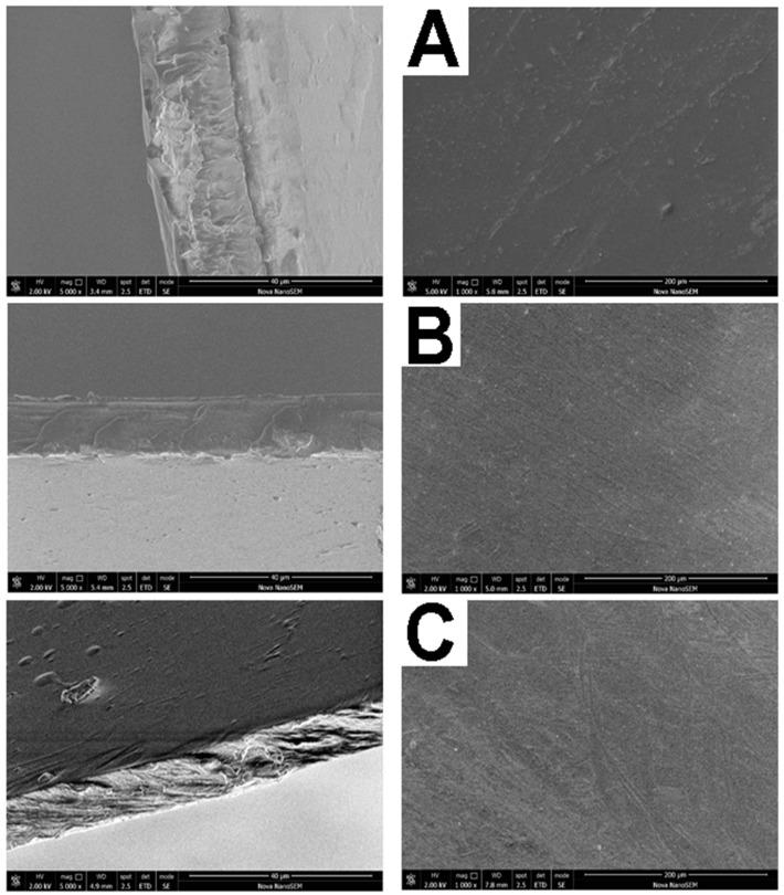 https://cdn.ncbi.nlm.nih.gov/pmc/blobs/1604/6321558/16a48dff894b/molecules-23-03109-g002.jpg