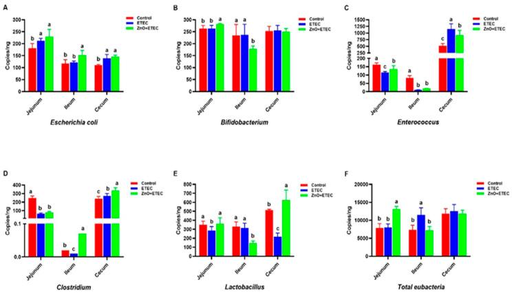 https://cdn.ncbi.nlm.nih.gov/pmc/blobs/1609/11861302/ae6a70f66b5d/vetsci-12-00115-g007.jpg