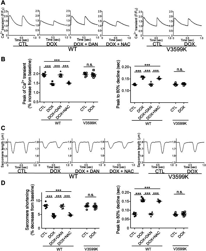 https://cdn.ncbi.nlm.nih.gov/pmc/blobs/160c/11782101/3f36922418a9/gr4.jpg