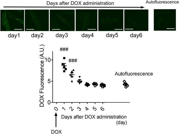 https://cdn.ncbi.nlm.nih.gov/pmc/blobs/160c/11782101/801daa3f0a38/gr5.jpg