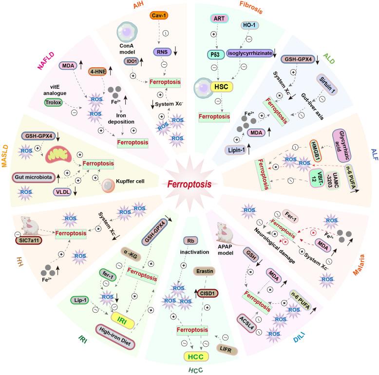 https://cdn.ncbi.nlm.nih.gov/pmc/blobs/160f/11889974/c98685e29b9e/12964_2025_2121_Fig4_HTML.jpg