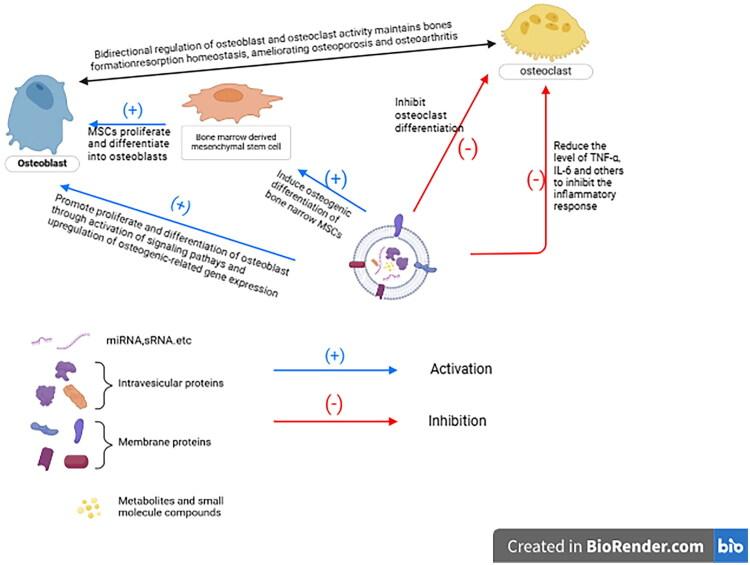 https://cdn.ncbi.nlm.nih.gov/pmc/blobs/1610/12377091/b526d87ce184/IANN_A_2549524_F0002_C.jpg