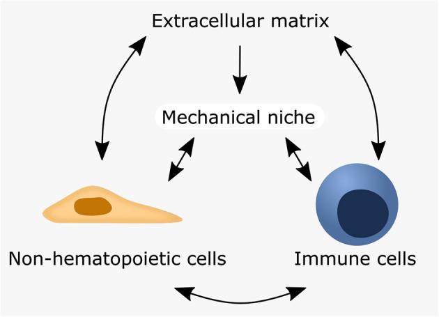 https://cdn.ncbi.nlm.nih.gov/pmc/blobs/1611/7907627/b1f404010418/fbioe-09-614508-g0001.jpg