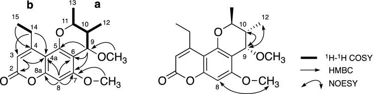https://cdn.ncbi.nlm.nih.gov/pmc/blobs/1612/8938217/f242c096cc38/11418_2022_1613_Fig3_HTML.jpg