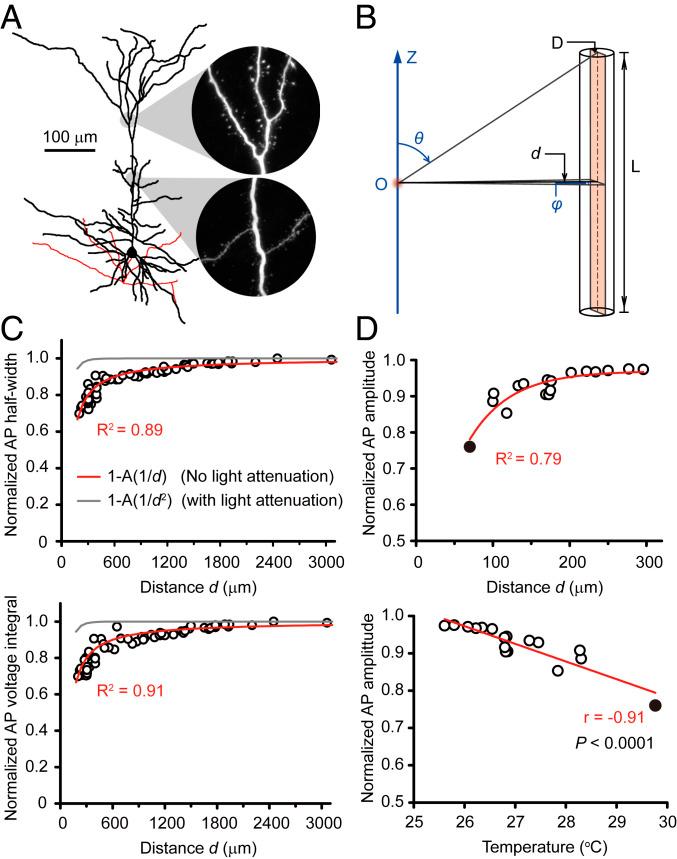 https://cdn.ncbi.nlm.nih.gov/pmc/blobs/1613/7958416/4b954b7343b0/pnas.2015685118fig03.jpg