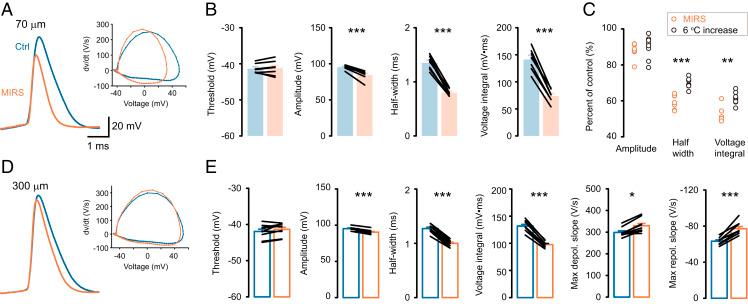 https://cdn.ncbi.nlm.nih.gov/pmc/blobs/1613/7958416/4f4333c8accb/pnas.2015685118fig02.jpg