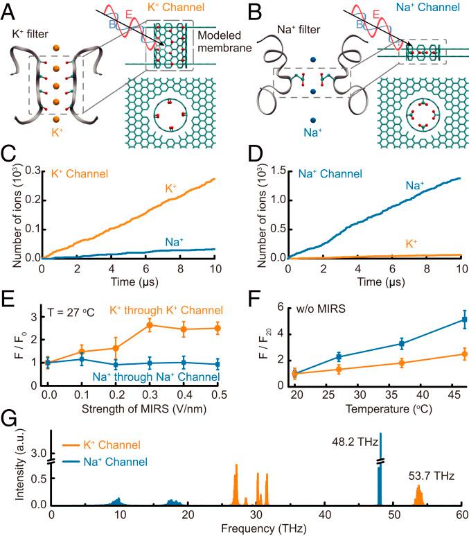 https://cdn.ncbi.nlm.nih.gov/pmc/blobs/1613/7958416/a81dfc341f74/pnas.2015685118fig05.jpg
