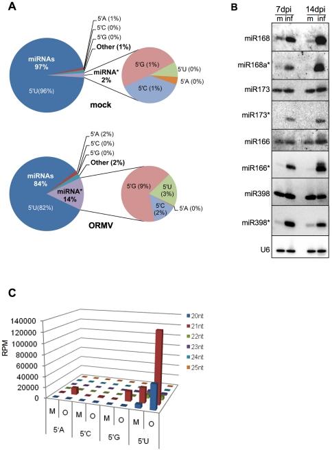 https://cdn.ncbi.nlm.nih.gov/pmc/blobs/1614/3091872/b70dbfd92cbd/pone.0019549.g004.jpg