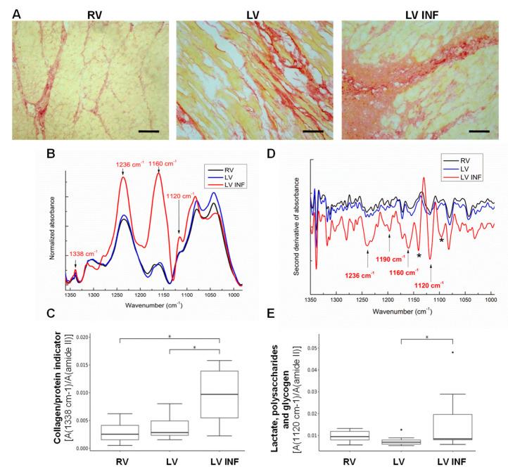 https://cdn.ncbi.nlm.nih.gov/pmc/blobs/1615/7690619/4c7c821dc896/biomolecules-10-01471-g002.jpg