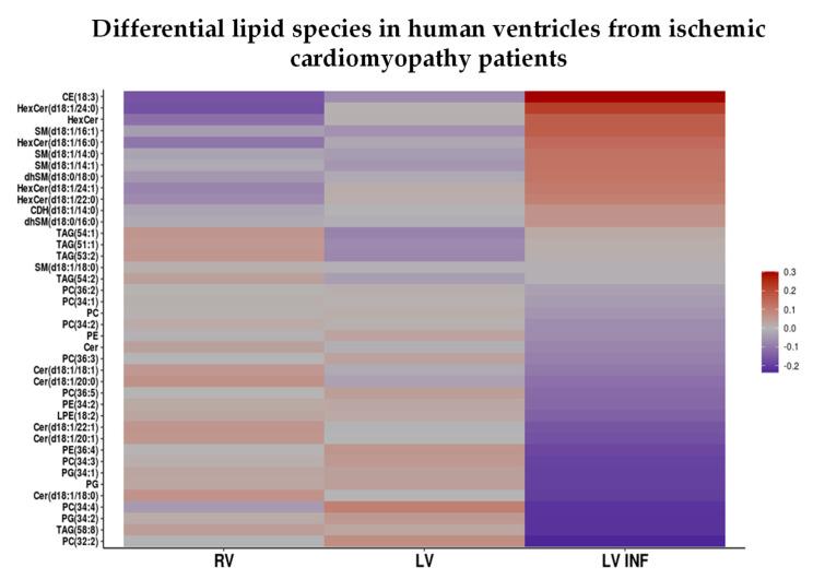 https://cdn.ncbi.nlm.nih.gov/pmc/blobs/1615/7690619/b3a4abacb145/biomolecules-10-01471-g005.jpg
