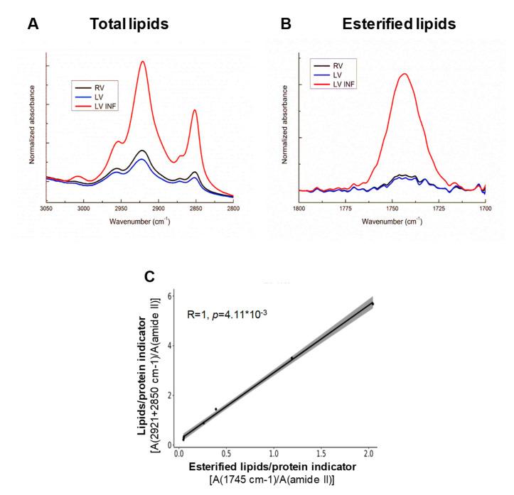 https://cdn.ncbi.nlm.nih.gov/pmc/blobs/1615/7690619/d642caf4407a/biomolecules-10-01471-g004.jpg