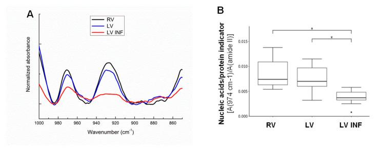 https://cdn.ncbi.nlm.nih.gov/pmc/blobs/1615/7690619/e9a712788de3/biomolecules-10-01471-g003.jpg