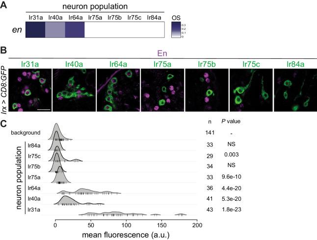 https://cdn.ncbi.nlm.nih.gov/pmc/blobs/1617/7993999/50d20315eab2/elife-63036-fig2-figsupp1.jpg