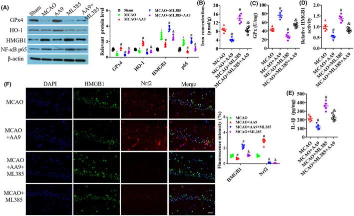 https://cdn.ncbi.nlm.nih.gov/pmc/blobs/1618/10173707/56a419998134/CNS-29-1667-g003.jpg