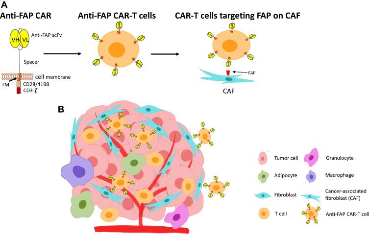 https://cdn.ncbi.nlm.nih.gov/pmc/blobs/1618/8354246/6e0f152acf5d/ITT-10-313-g0002.jpg