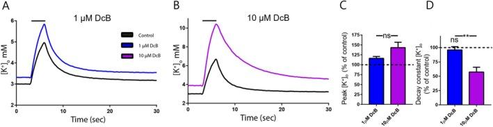 https://cdn.ncbi.nlm.nih.gov/pmc/blobs/161a/12313005/5743111ec240/GLIA-73-1805-g001.jpg