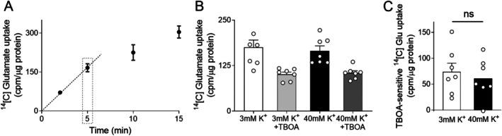 https://cdn.ncbi.nlm.nih.gov/pmc/blobs/161a/12313005/e18c6f98df3f/GLIA-73-1805-g008.jpg