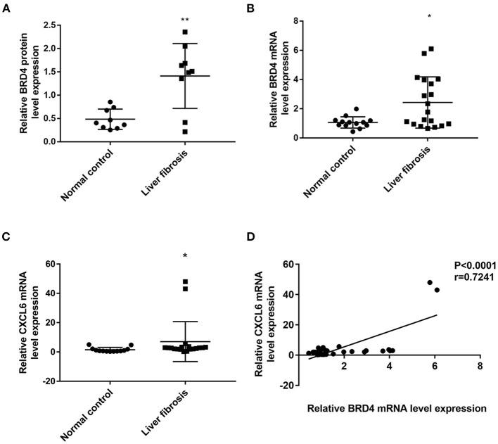 https://cdn.ncbi.nlm.nih.gov/pmc/blobs/161a/8317578/19046eb84e06/fmed-08-683506-g0001.jpg