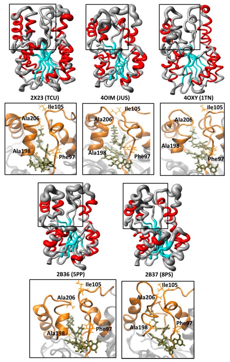 https://cdn.ncbi.nlm.nih.gov/pmc/blobs/161b/4632722/08b9c2bec042/ijms-16-23695-g006.jpg