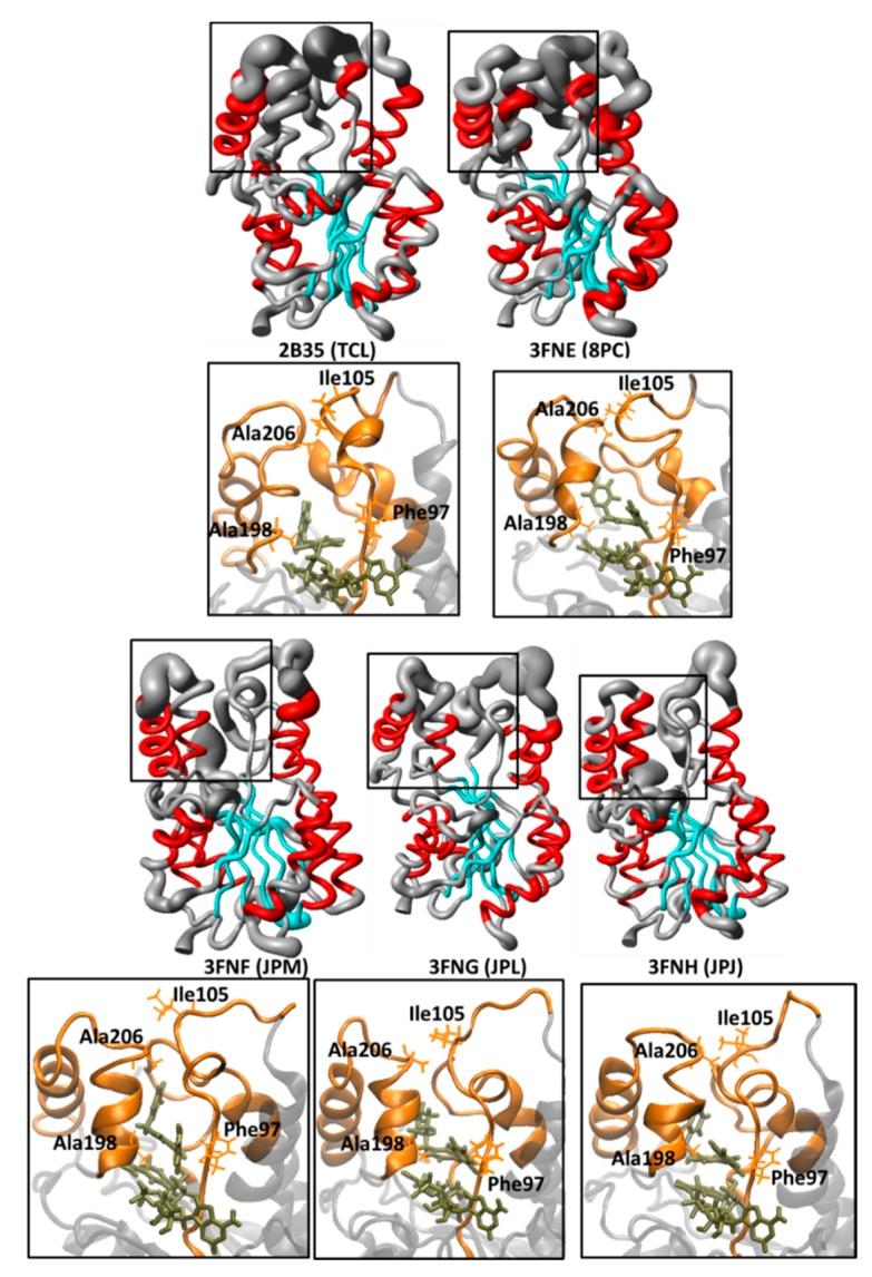 https://cdn.ncbi.nlm.nih.gov/pmc/blobs/161b/4632722/67257d90f889/ijms-16-23695-g007.jpg