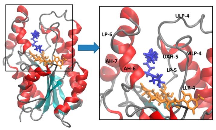 https://cdn.ncbi.nlm.nih.gov/pmc/blobs/161b/4632722/bb3cd6d2e0df/ijms-16-23695-g002.jpg