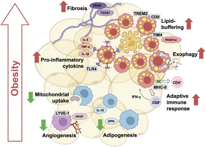 https://cdn.ncbi.nlm.nih.gov/pmc/blobs/161c/11443328/d576d9c7ddec/jomes-33-3-193-f2.jpg
