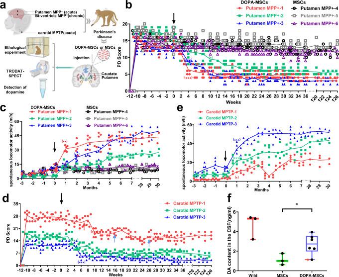https://cdn.ncbi.nlm.nih.gov/pmc/blobs/161c/9780305/31bf99de53fb/41531_2022_440_Fig3_HTML.jpg