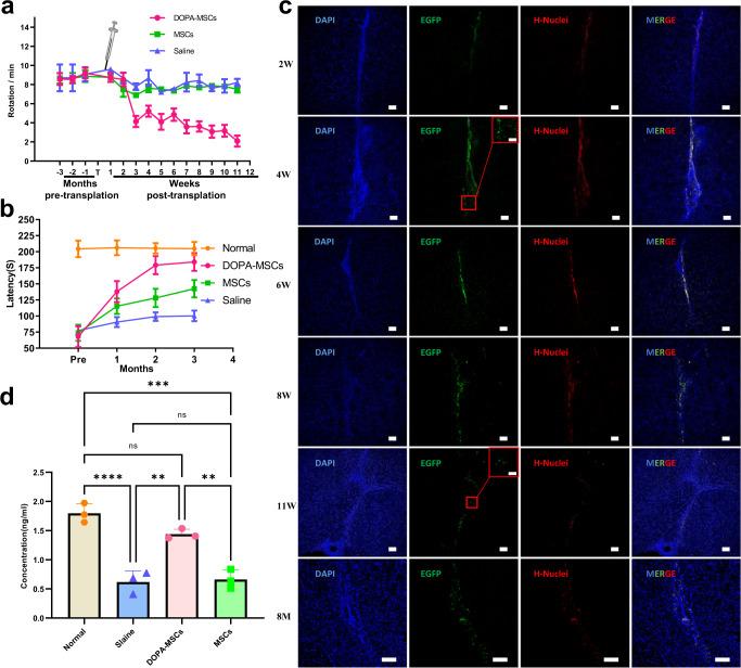 https://cdn.ncbi.nlm.nih.gov/pmc/blobs/161c/9780305/33df89d077e8/41531_2022_440_Fig2_HTML.jpg