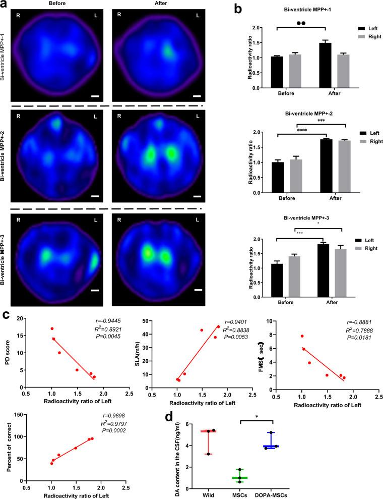 https://cdn.ncbi.nlm.nih.gov/pmc/blobs/161c/9780305/528ddcc87a70/41531_2022_440_Fig5_HTML.jpg