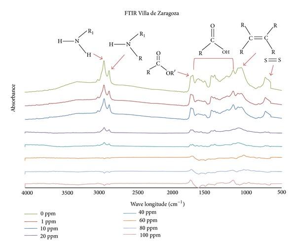 https://cdn.ncbi.nlm.nih.gov/pmc/blobs/161e/3885224/8554e3144e06/TSWJ2013-167834.003.jpg