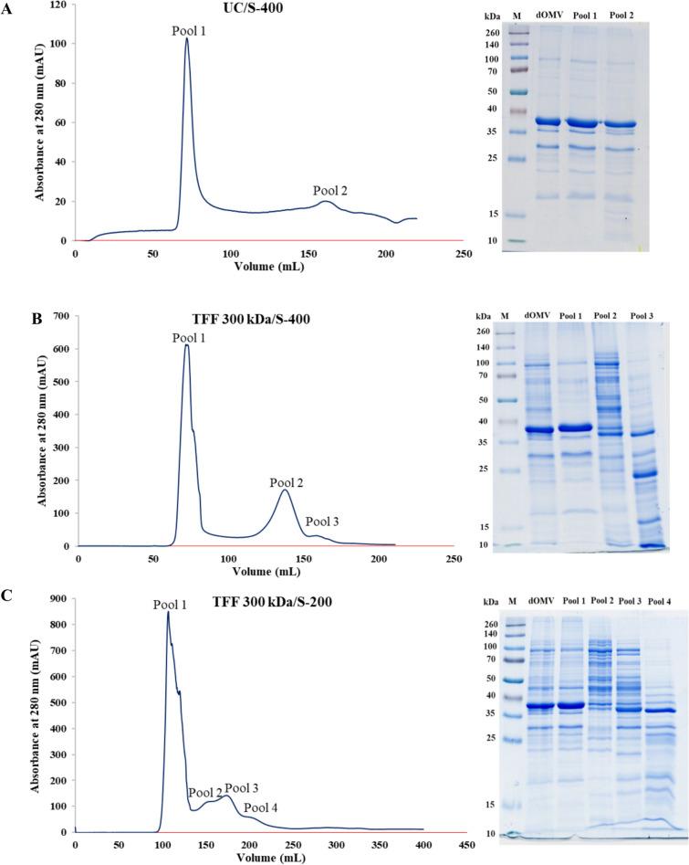 https://cdn.ncbi.nlm.nih.gov/pmc/blobs/161f/11976763/50aedcfc6060/253_2025_13460_Fig1_HTML.jpg