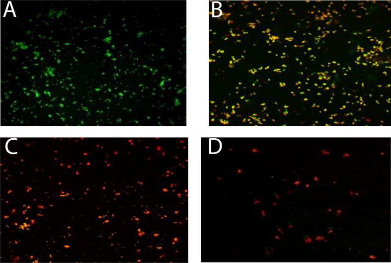 https://cdn.ncbi.nlm.nih.gov/pmc/blobs/161f/6137858/ca3751e4229c/gr6.jpg