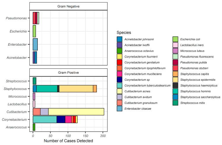 https://cdn.ncbi.nlm.nih.gov/pmc/blobs/1621/11434069/753f4de34a8c/microorganisms-12-01830-g001.jpg