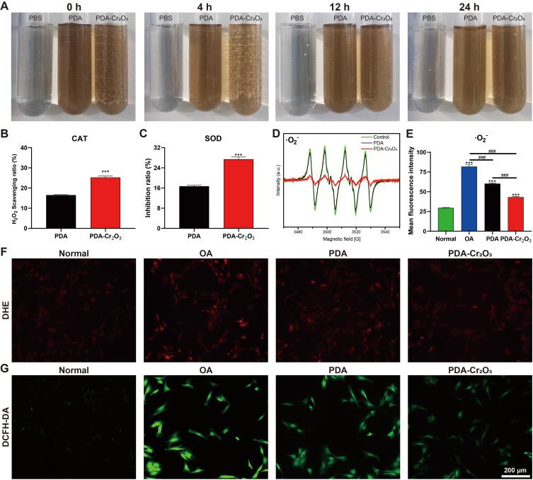 https://cdn.ncbi.nlm.nih.gov/pmc/blobs/1622/12399218/158d364efff2/IJN-20-10369-g0005.jpg