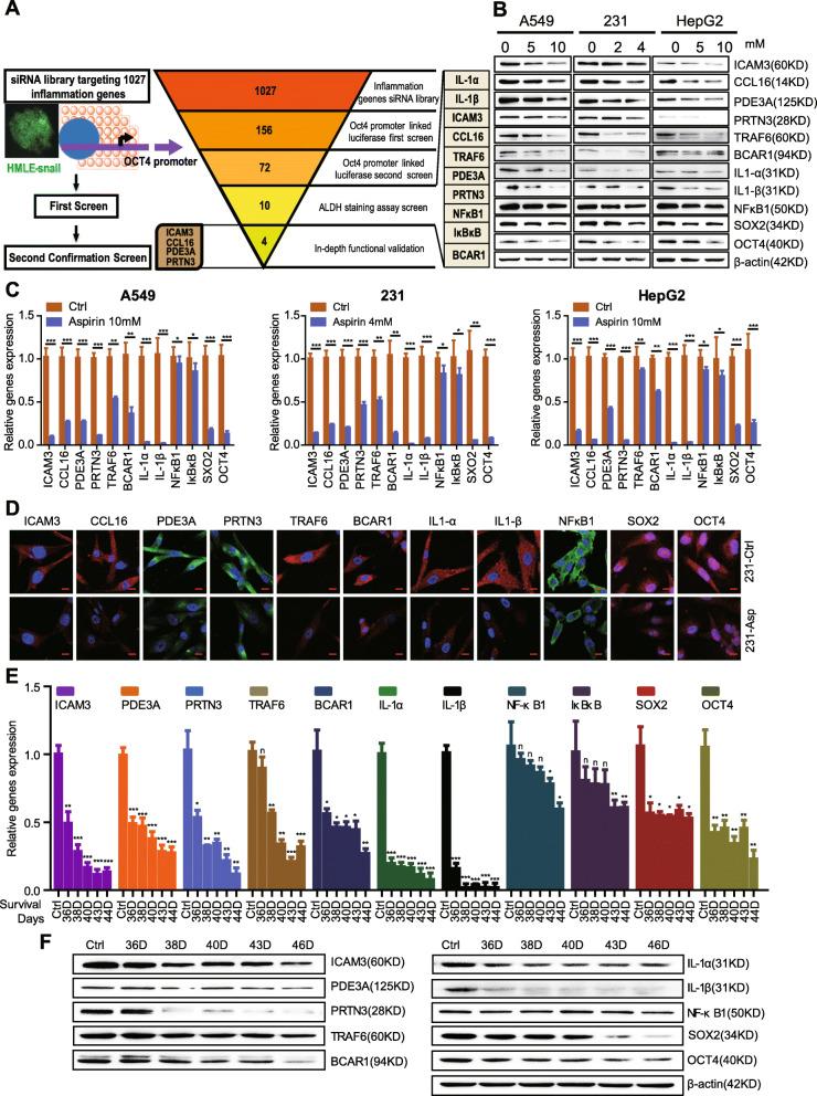 https://cdn.ncbi.nlm.nih.gov/pmc/blobs/1623/7450956/4f85b8fbd183/13287_2020_1884_Fig3_HTML.jpg