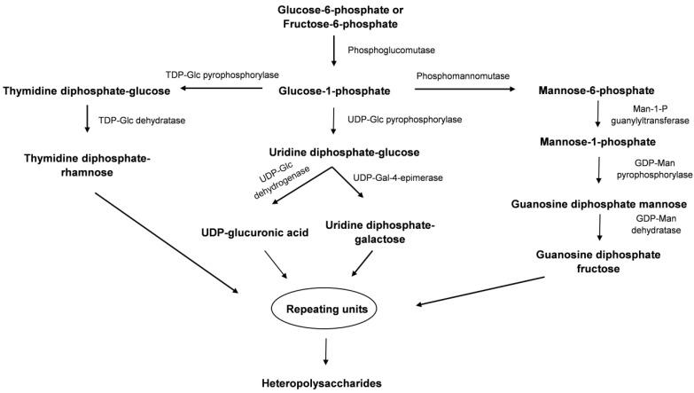 https://cdn.ncbi.nlm.nih.gov/pmc/blobs/1624/11430787/1248fb07266b/biomolecules-14-01162-g003.jpg