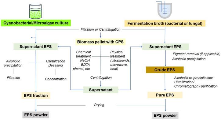 https://cdn.ncbi.nlm.nih.gov/pmc/blobs/1624/11430787/6f699d16f5b2/biomolecules-14-01162-g004.jpg