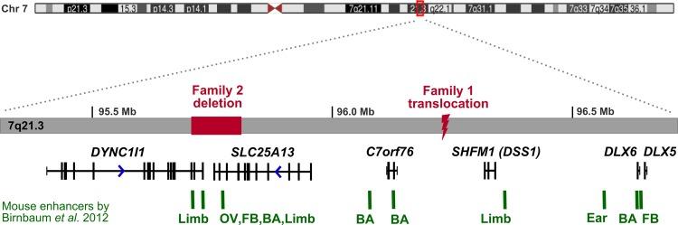 https://cdn.ncbi.nlm.nih.gov/pmc/blobs/1624/3963551/65867d6d1d22/jmedgenet-2013-102142f02.jpg