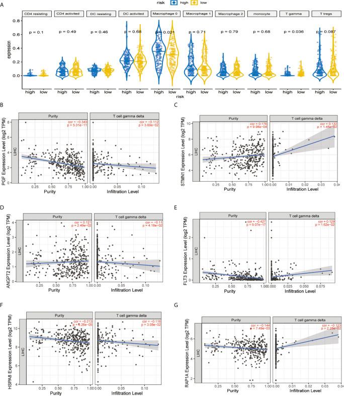 https://cdn.ncbi.nlm.nih.gov/pmc/blobs/1625/8222816/a5973d7ca2b0/fonc-11-649980-g007.jpg