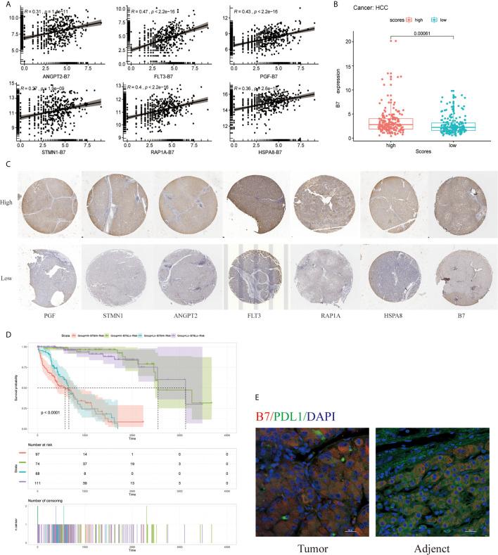 https://cdn.ncbi.nlm.nih.gov/pmc/blobs/1625/8222816/c3c3c42dc570/fonc-11-649980-g009.jpg