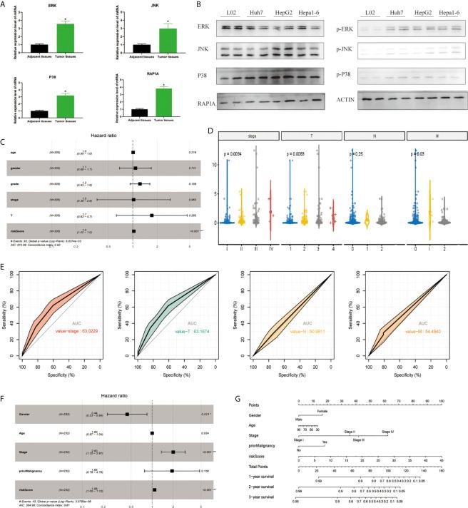 https://cdn.ncbi.nlm.nih.gov/pmc/blobs/1625/8222816/de1beb365262/fonc-11-649980-g001.jpg