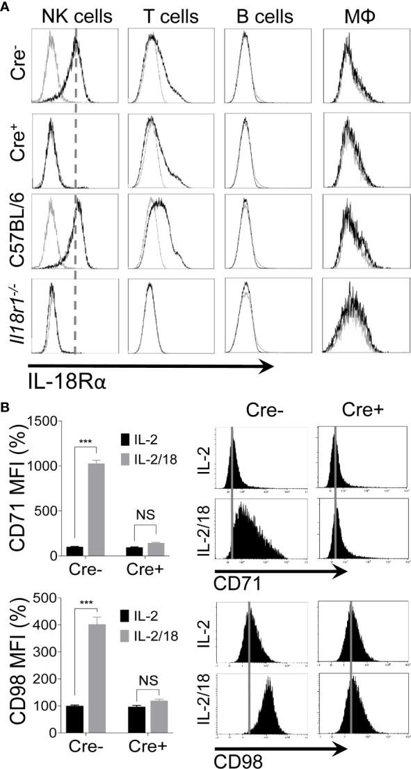 https://cdn.ncbi.nlm.nih.gov/pmc/blobs/1626/8177011/29705c17bbc8/fimmu-12-654225-g002.jpg