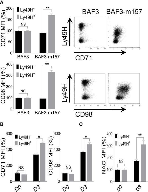 https://cdn.ncbi.nlm.nih.gov/pmc/blobs/1626/8177011/2b8654d8eb57/fimmu-12-654225-g006.jpg