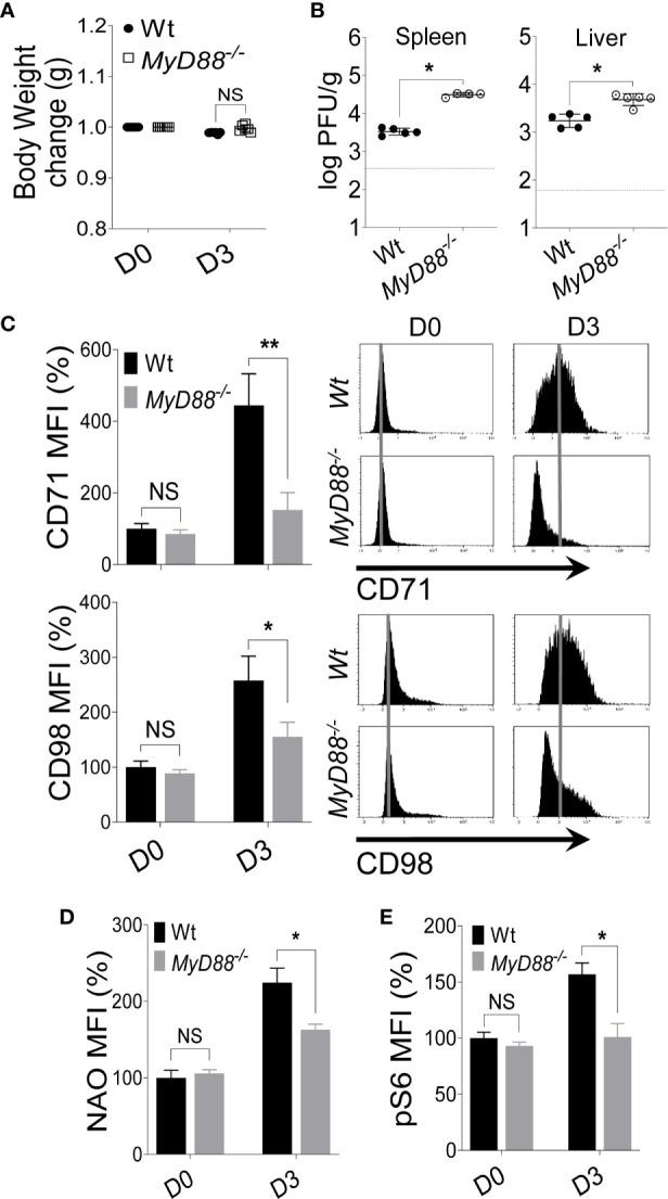https://cdn.ncbi.nlm.nih.gov/pmc/blobs/1626/8177011/700fe328a5bd/fimmu-12-654225-g004.jpg