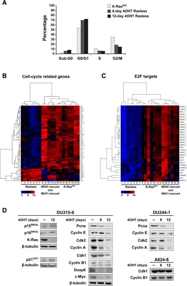 https://cdn.ncbi.nlm.nih.gov/pmc/blobs/1627/4007593/a5e9c9cc4af1/1471-2164-14-731-4.jpg