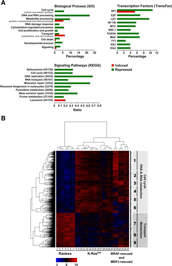 https://cdn.ncbi.nlm.nih.gov/pmc/blobs/1627/4007593/ec12c78ea046/1471-2164-14-731-2.jpg