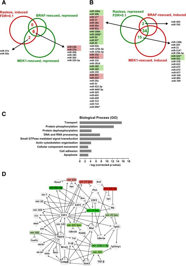 https://cdn.ncbi.nlm.nih.gov/pmc/blobs/1627/4007593/f59005e04873/1471-2164-14-731-6.jpg