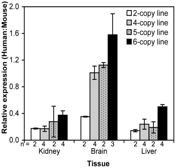 https://cdn.ncbi.nlm.nih.gov/pmc/blobs/1629/3392231/c30e52091db2/pone.0040609.g003.jpg