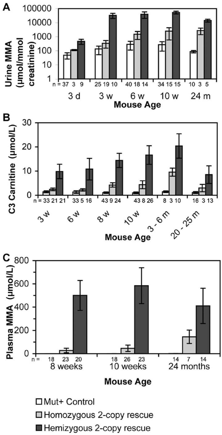 https://cdn.ncbi.nlm.nih.gov/pmc/blobs/1629/3392231/d53301f7350b/pone.0040609.g006.jpg